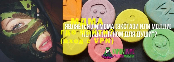 индика Арсеньев