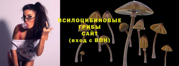 эйфоретик Баксан