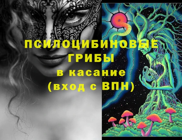 эйфоретик Баксан