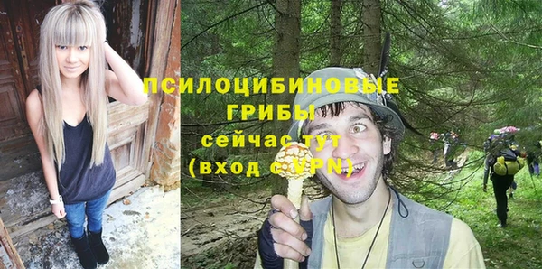 соль ск Балабаново
