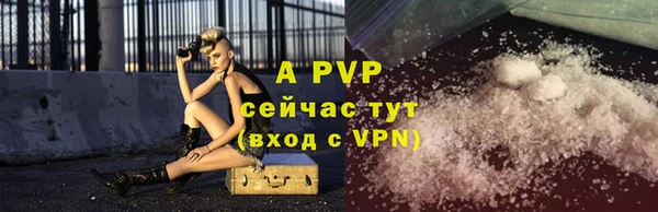 эйфоретик Баксан